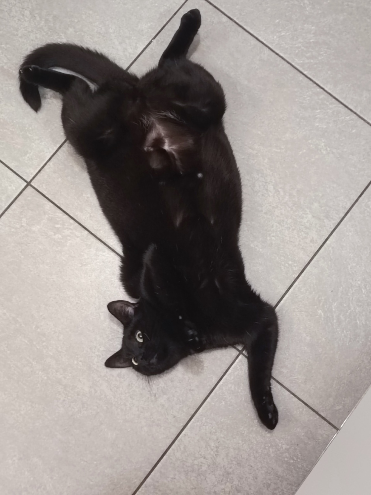 3354e3fb-0463-48ea-ae38-6d0399c8f94e