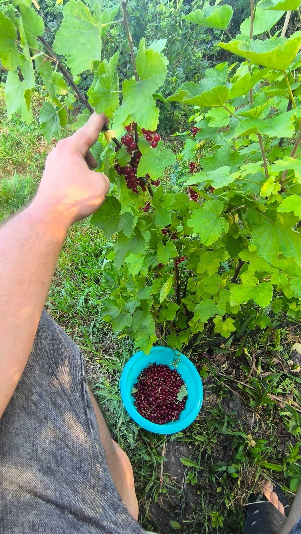 cb7fbce9-870b-4ca1-8d70-ae4ae905f82b