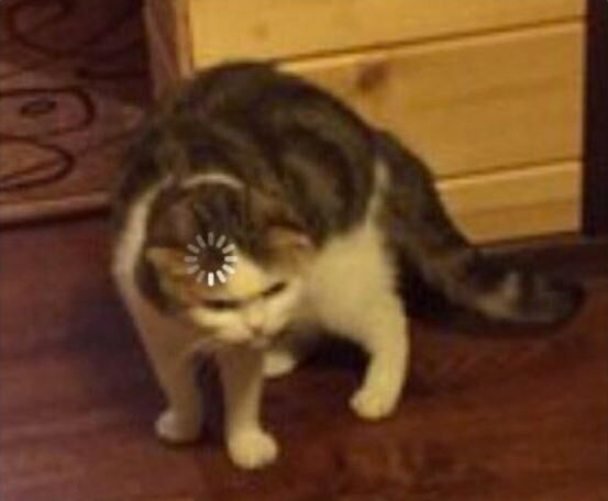 daafe1ca-d6ef-4880-a23e-f760e57d823b