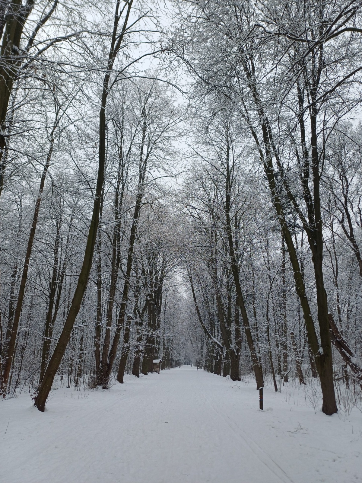 b1c5601a-1c37-4399-9287-9b7ca7b0be5a