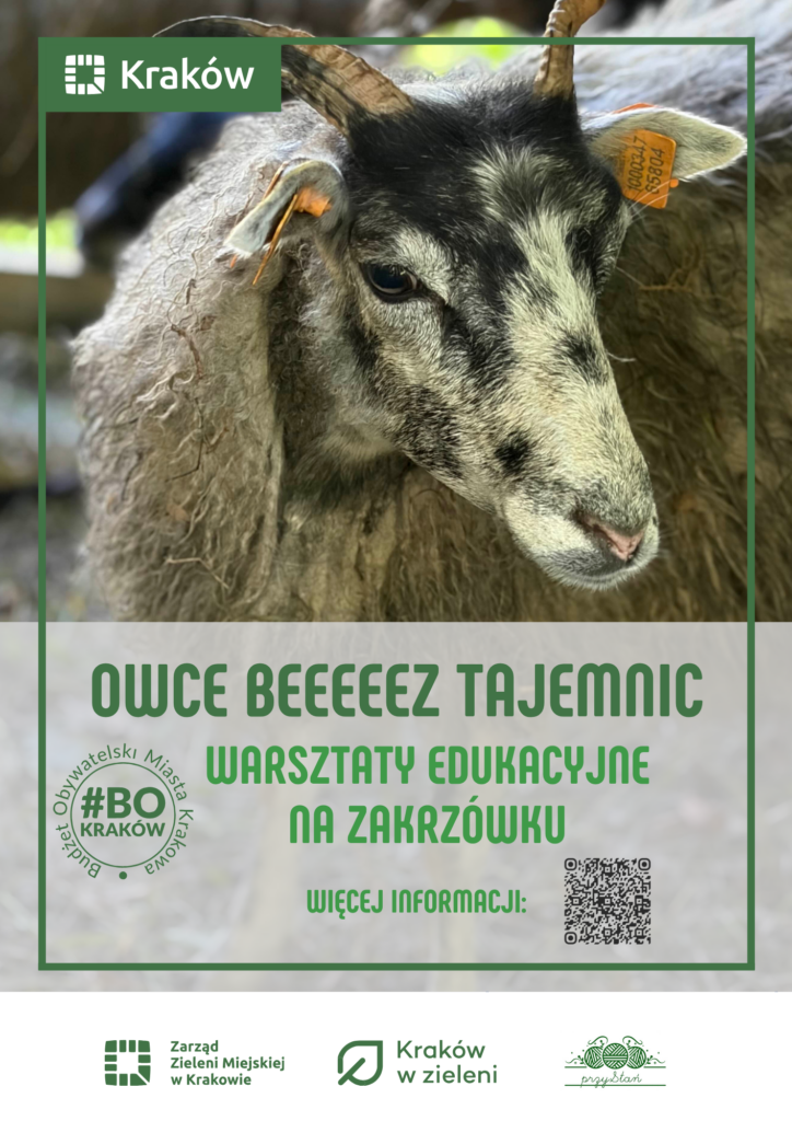 Owce beeeeez tajemnic na Zakrzówku – bezpłatne warsztaty edukacyjne! - Dzielnica VIII Dębniki | Kraków