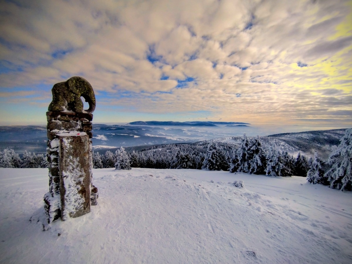 59fa7ec4-81c8-4f8a-b7cf-40efa7db9dce