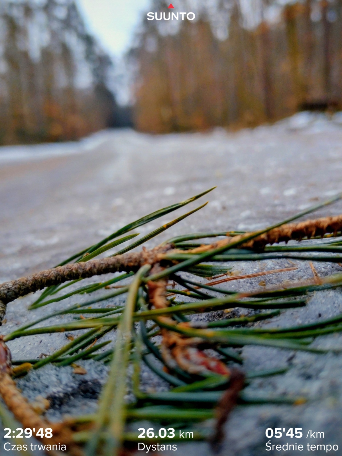 9a6a147a-0138-49b3-b642-dc628ccdd52f