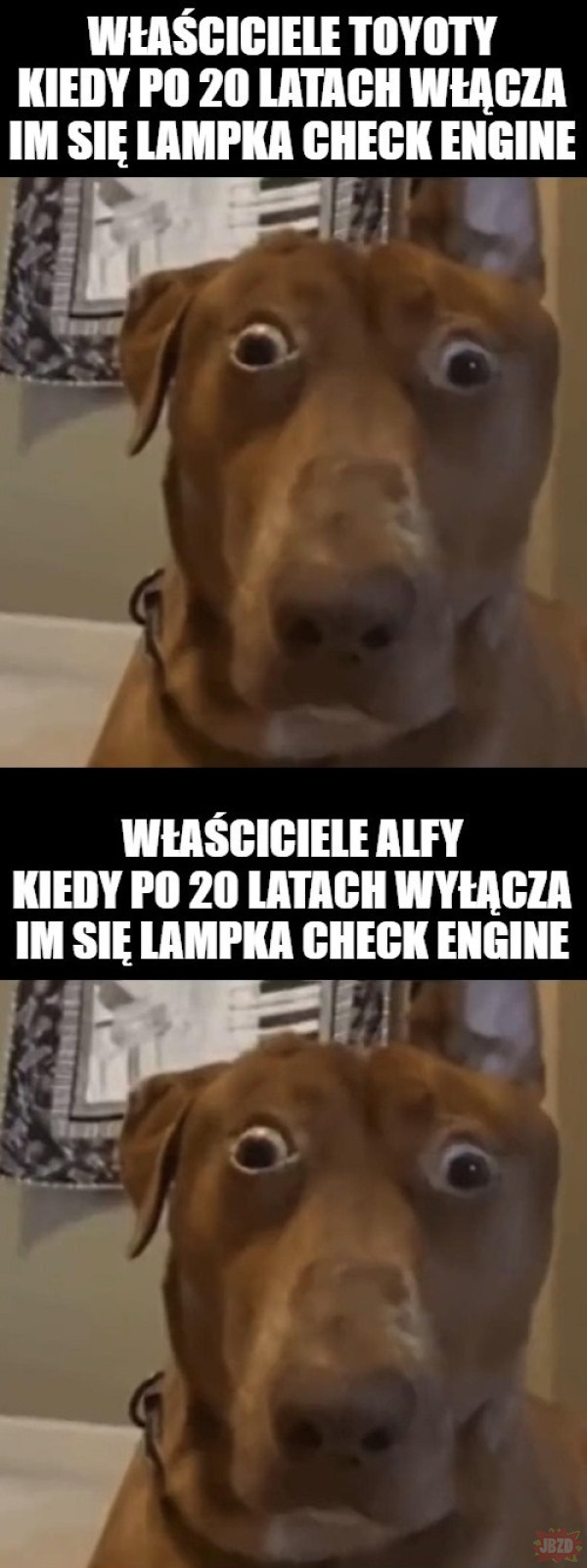 58dceafb-482d-4647-9961-11d5bb143495