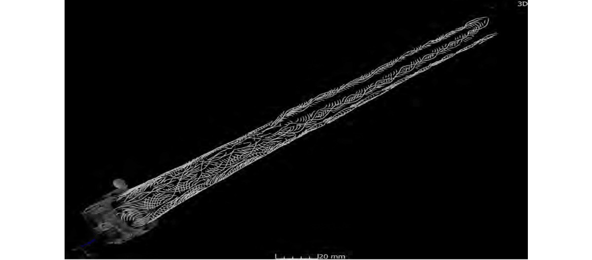 Dziesiątki tysięcy znalezisk na japońskiej wyspie. Jedno z nich szczególnie poruszyło archeologów
