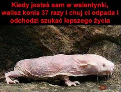 6522cbaa-d0a4-4fca-b4de-ab12ec0ffe13