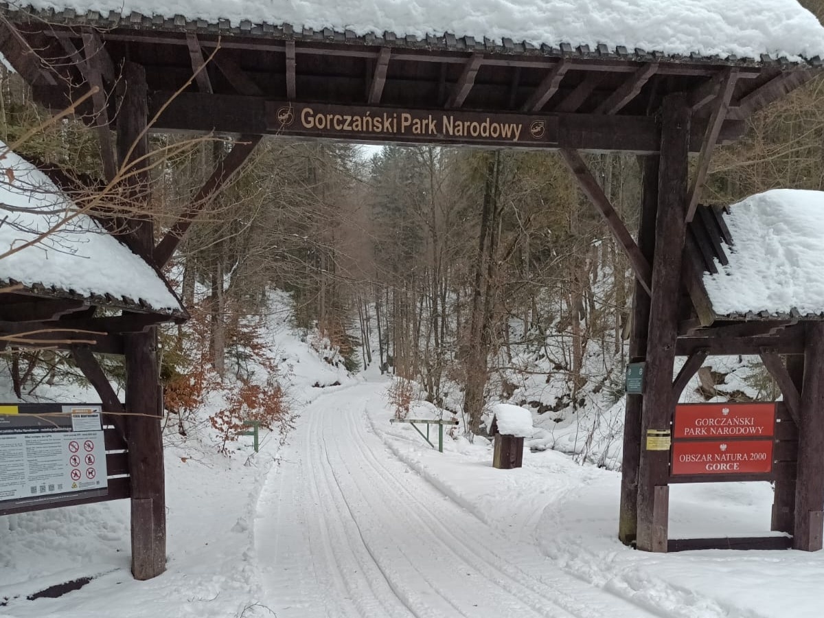 Biegówki - nowa, łatwa trasa w Łopusznej (Gorce)