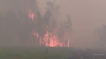 Rosja. Pożary lasów w Jakucji. 150 megaton dwutlenku węgla przedostało się do atmosfery