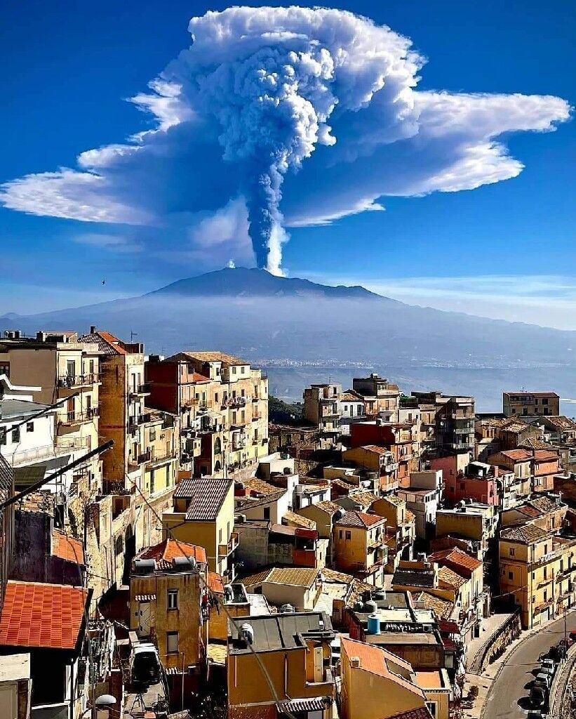 1d18a246-0b13-4606-9ab6-d34ec5be3802