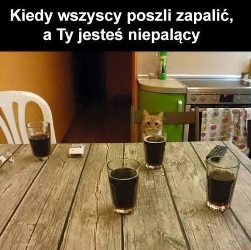 150437e6-15b3-4c7d-a15e-ab0a120d874f