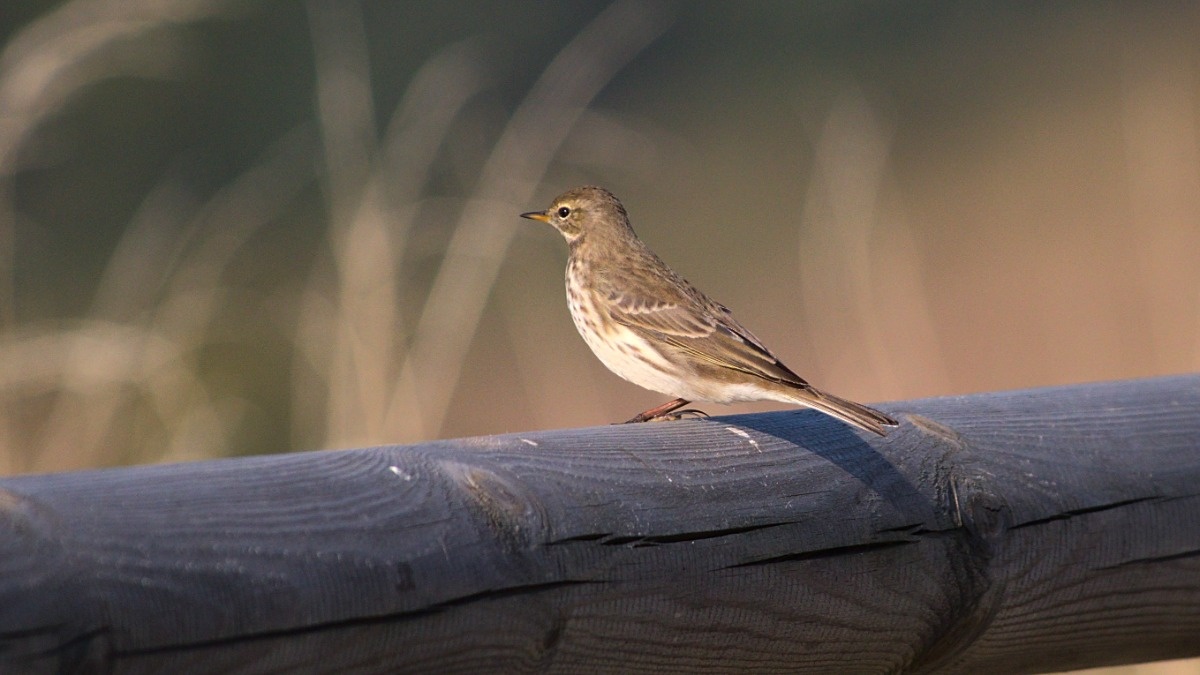 bb611e62-ed58-499d-a921-6f12d4c247bd