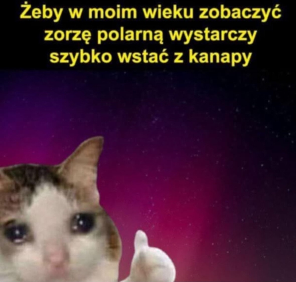 04bccd91-a4fe-44d3-b0f4-870c6d78df5d