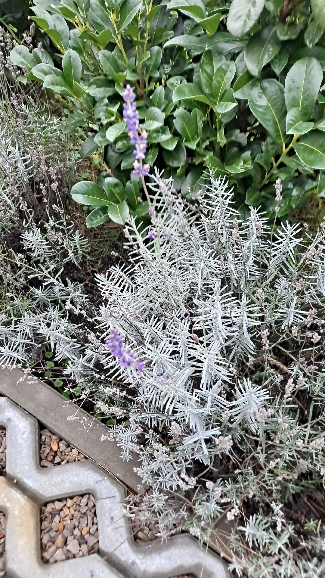 fe1b1057-9e63-4ebf-84fa-f5f930443b08