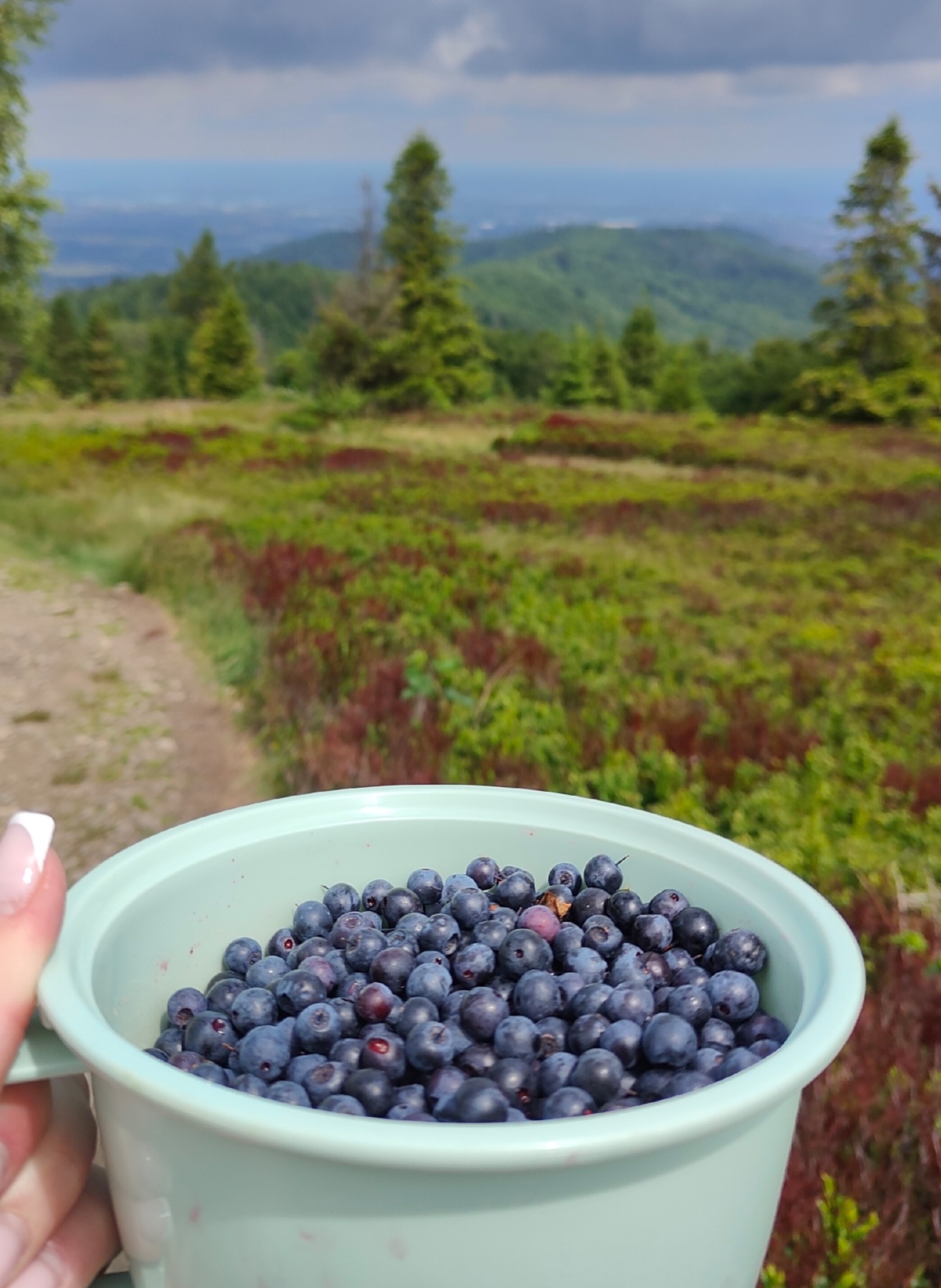 b814870e-e624-42a7-a34f-a55ba2cdbdd6