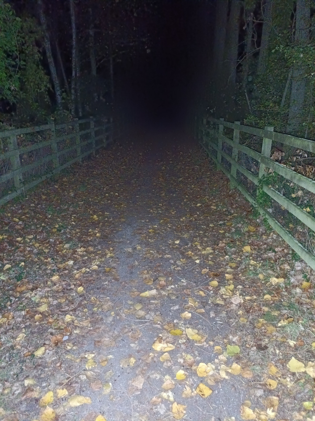 e3332623-d2b9-4acb-a286-d41201137d9f