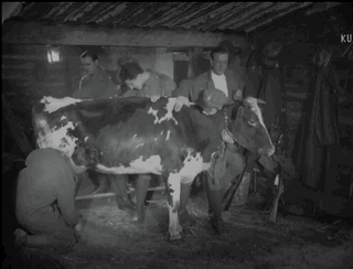 08ccf6ba-e13c-4ce6-8d6b-6466ad944e0f