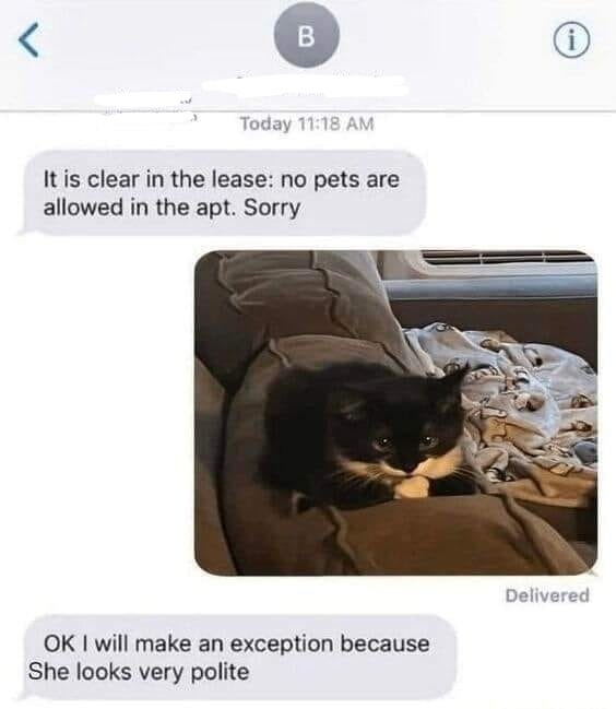 9b8213fe-aaa5-4650-9b6b-ba7980832237