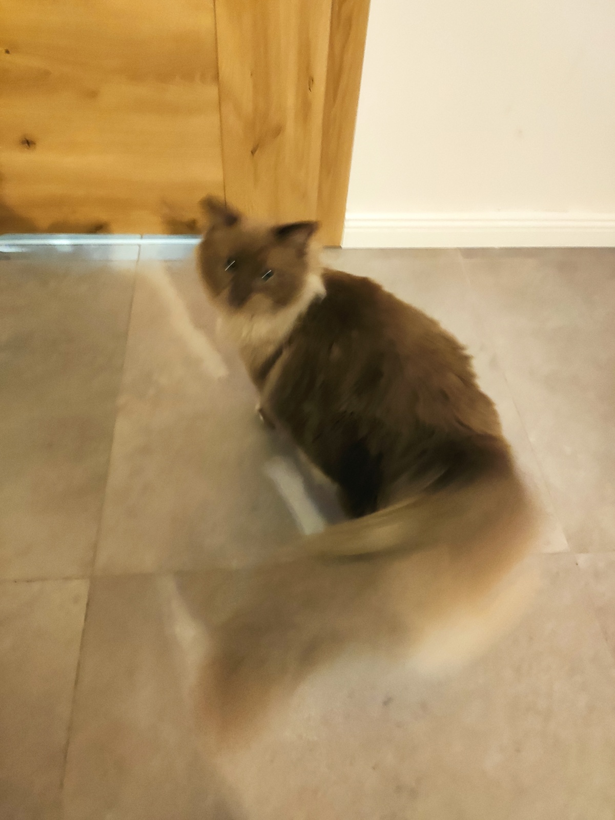 8011bdf2-6b3c-474f-8a62-bf3c438af77c