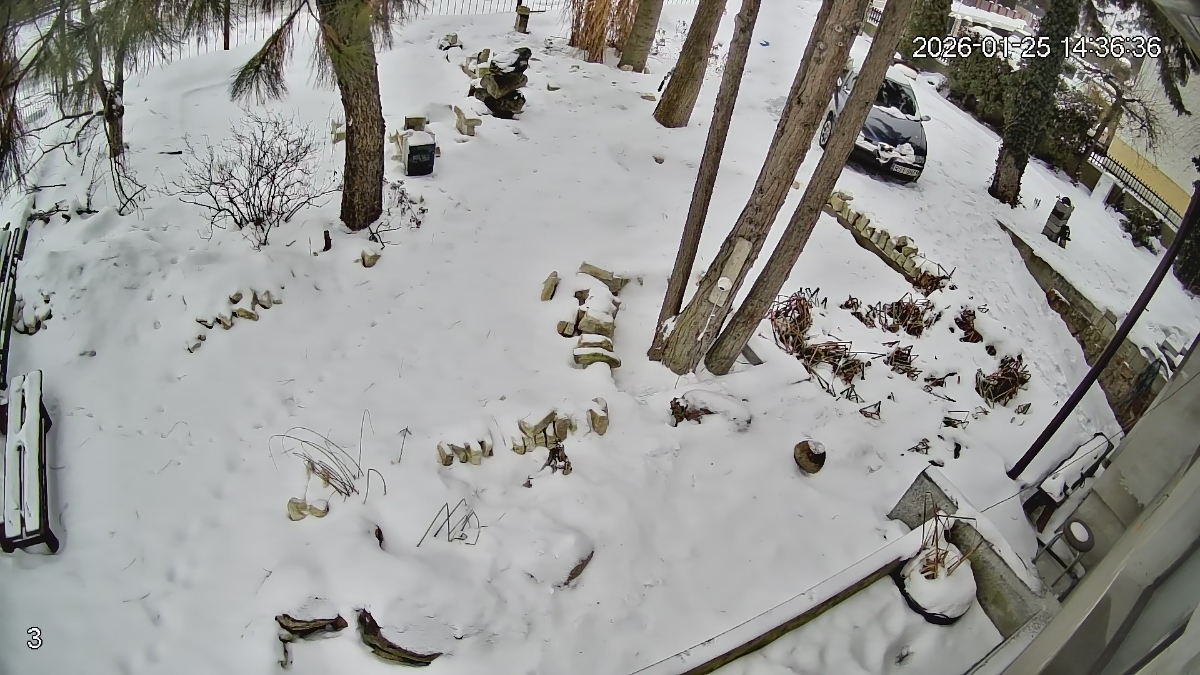 d83e8ab3-a768-4a32-a992-e13a7c52658c