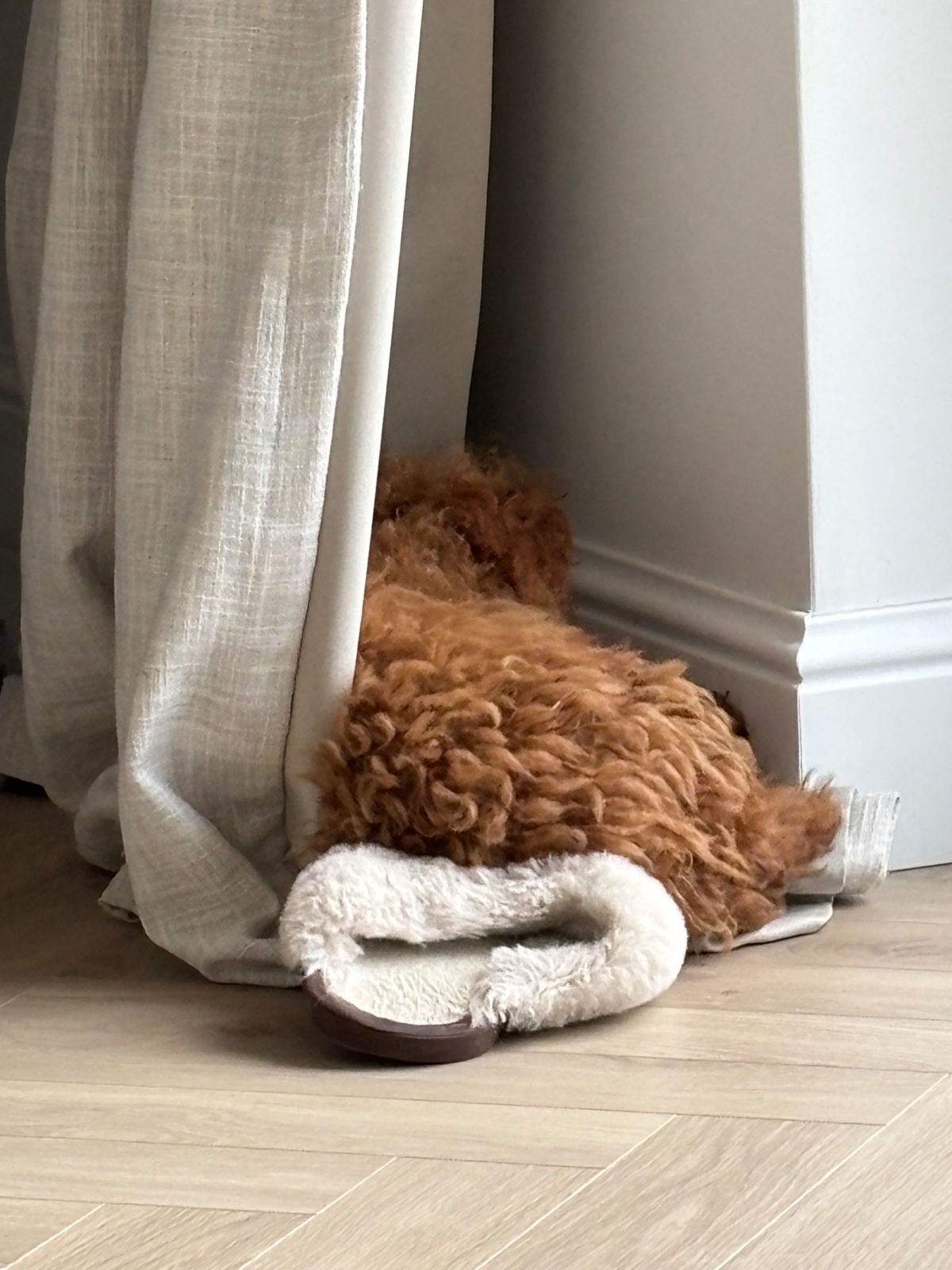 fc439b5f-07c1-4ef0-a471-1e0d5fc38495