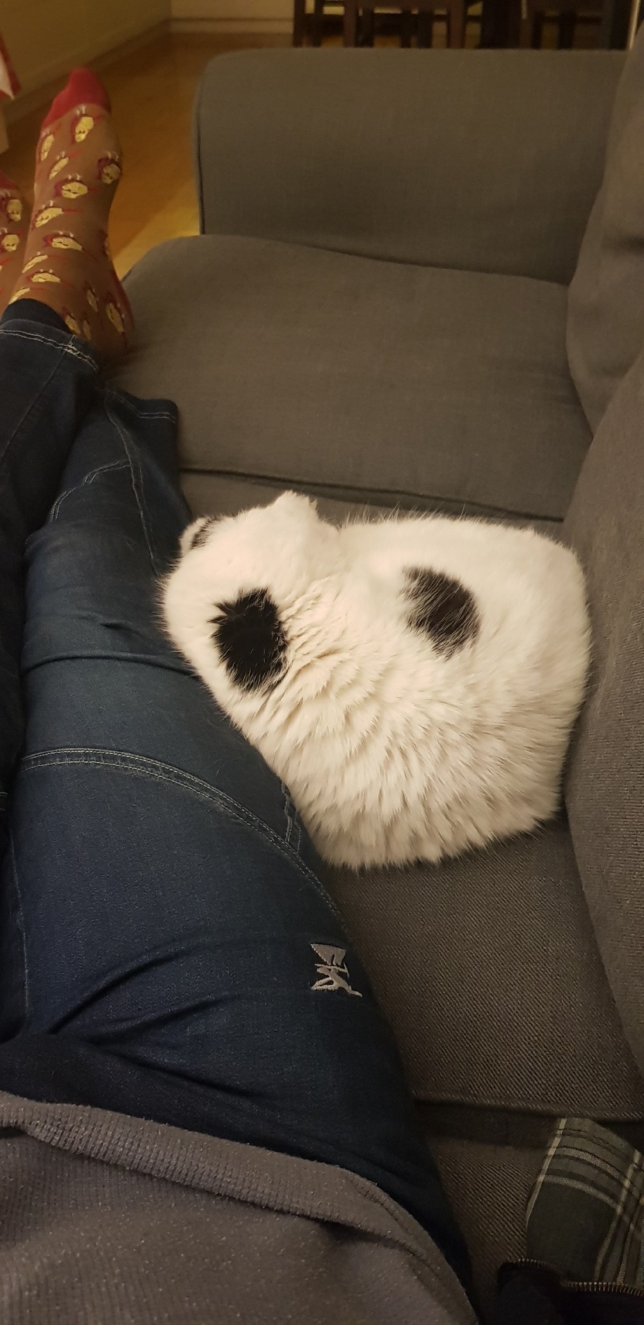 5286d9a3-799b-410f-8a1a-78ee67fa99a5