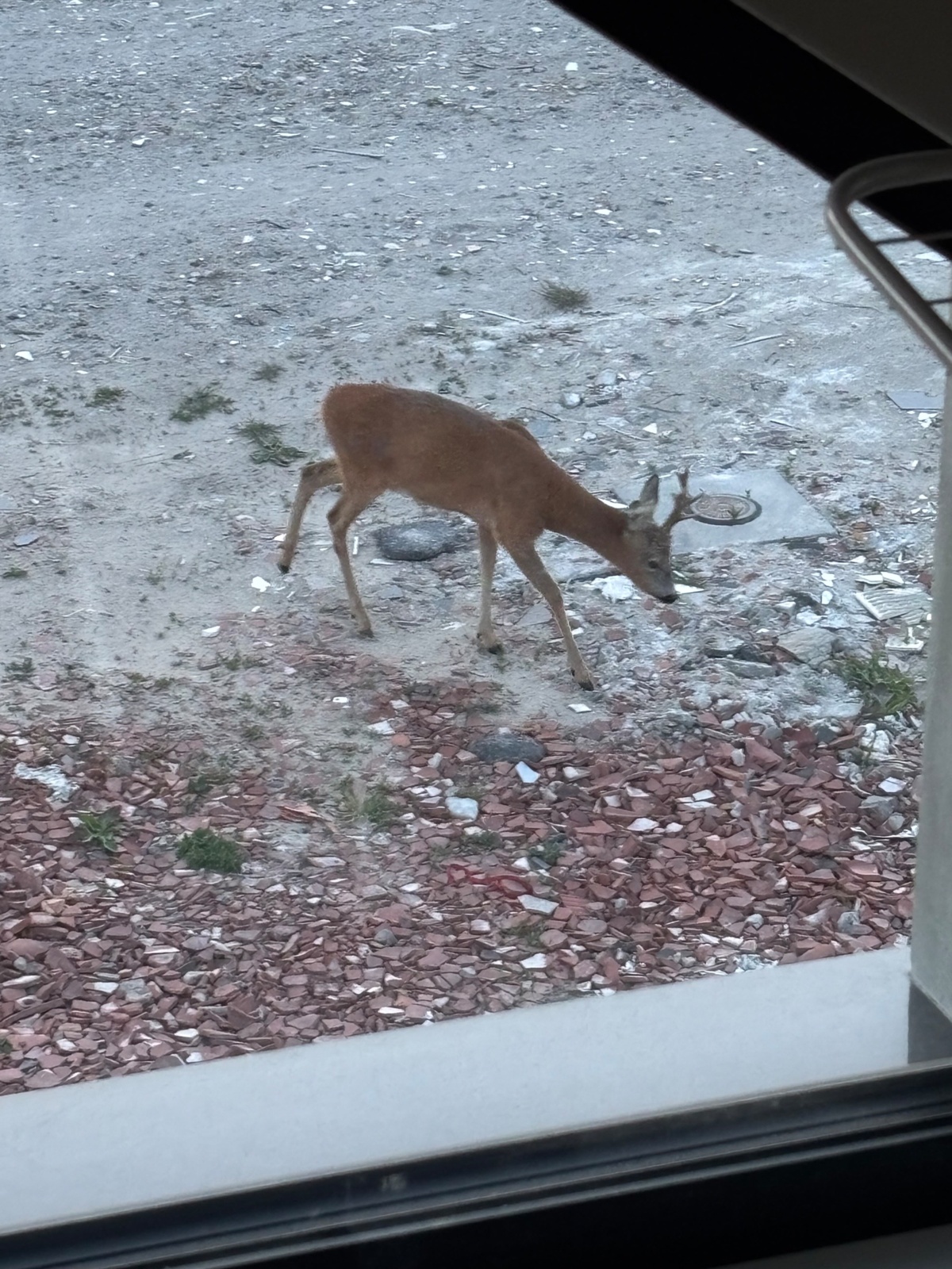 4d706d70-4ff8-442f-979e-03315027ed17