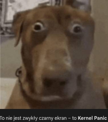 1e31d46e-b759-4e31-babe-26265e3b9b7a