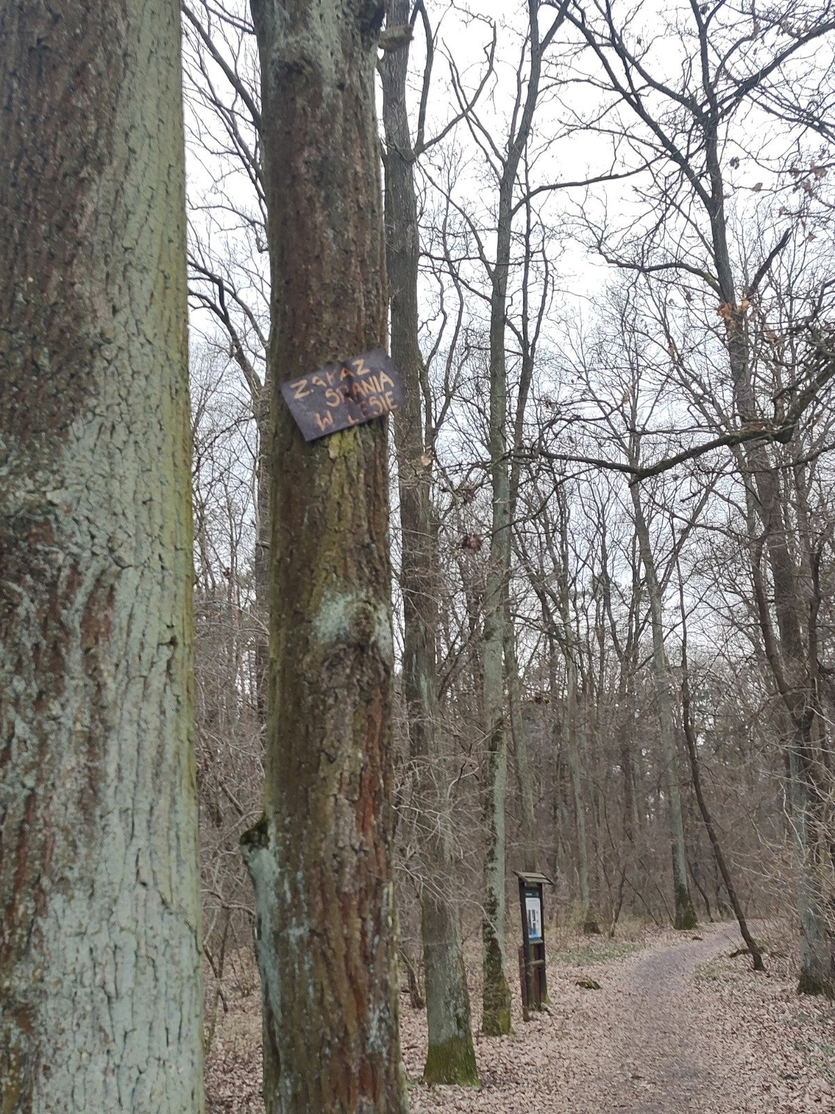 f1aebecd-3e1b-443a-967e-6cfc5ba0b240