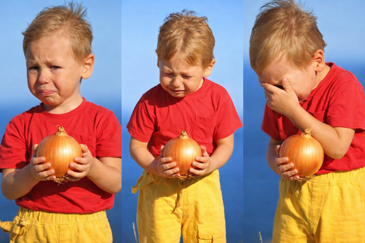 bc2dd274-87a7-4aac-8604-f4ceb9e9f447