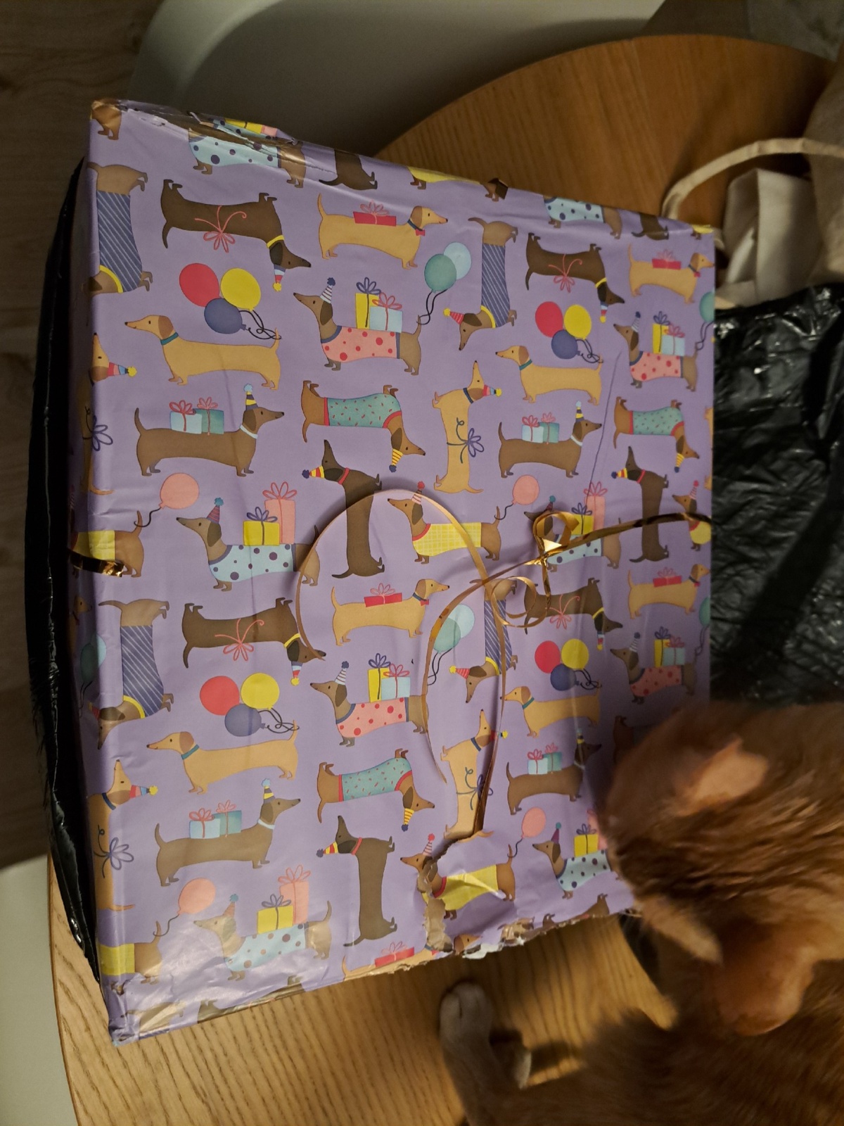 6ccdf05d-2dd4-482e-b711-1c7c301ae59a