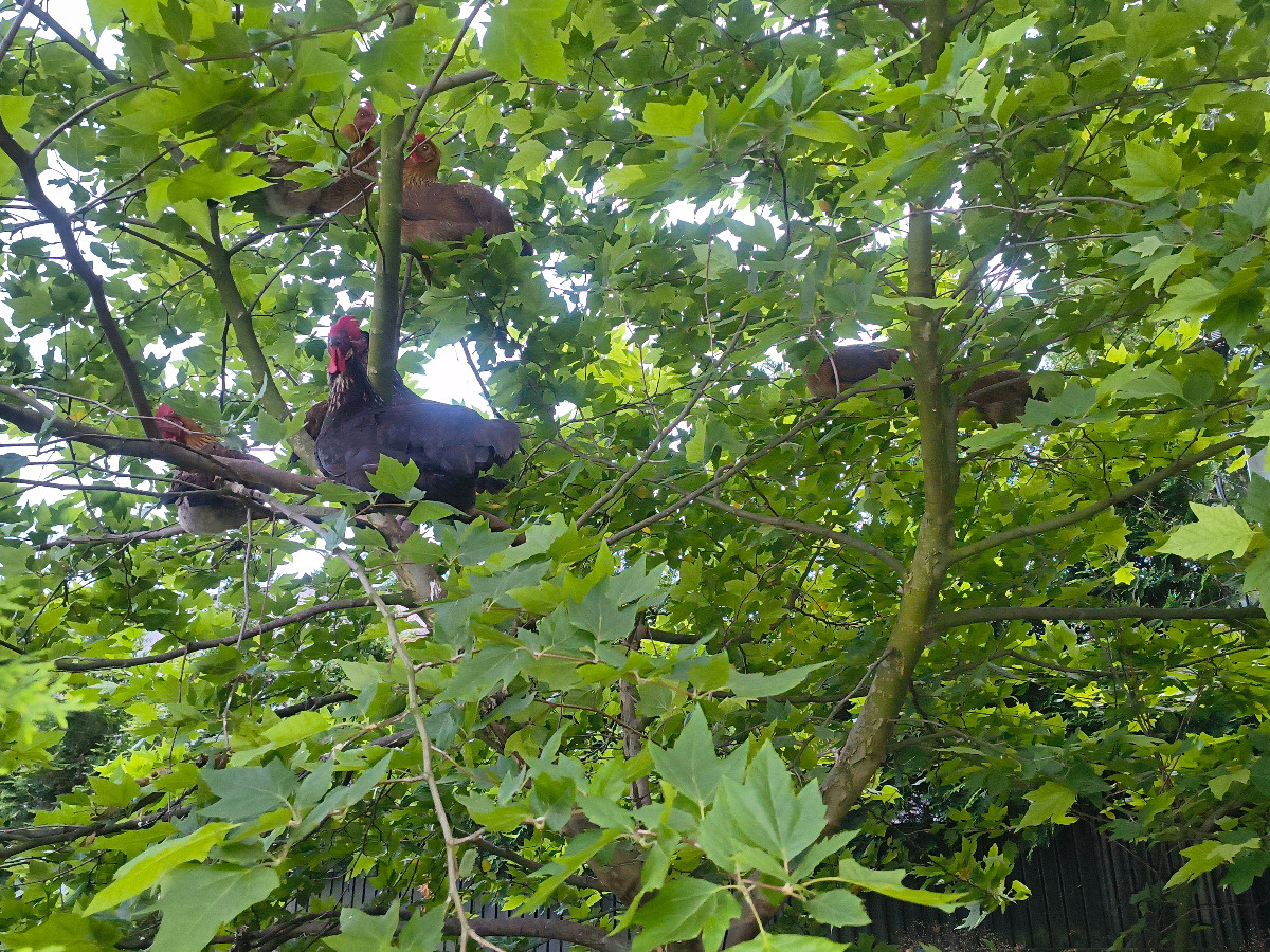 1a2d32ed-2653-48bc-b776-bf723336131c