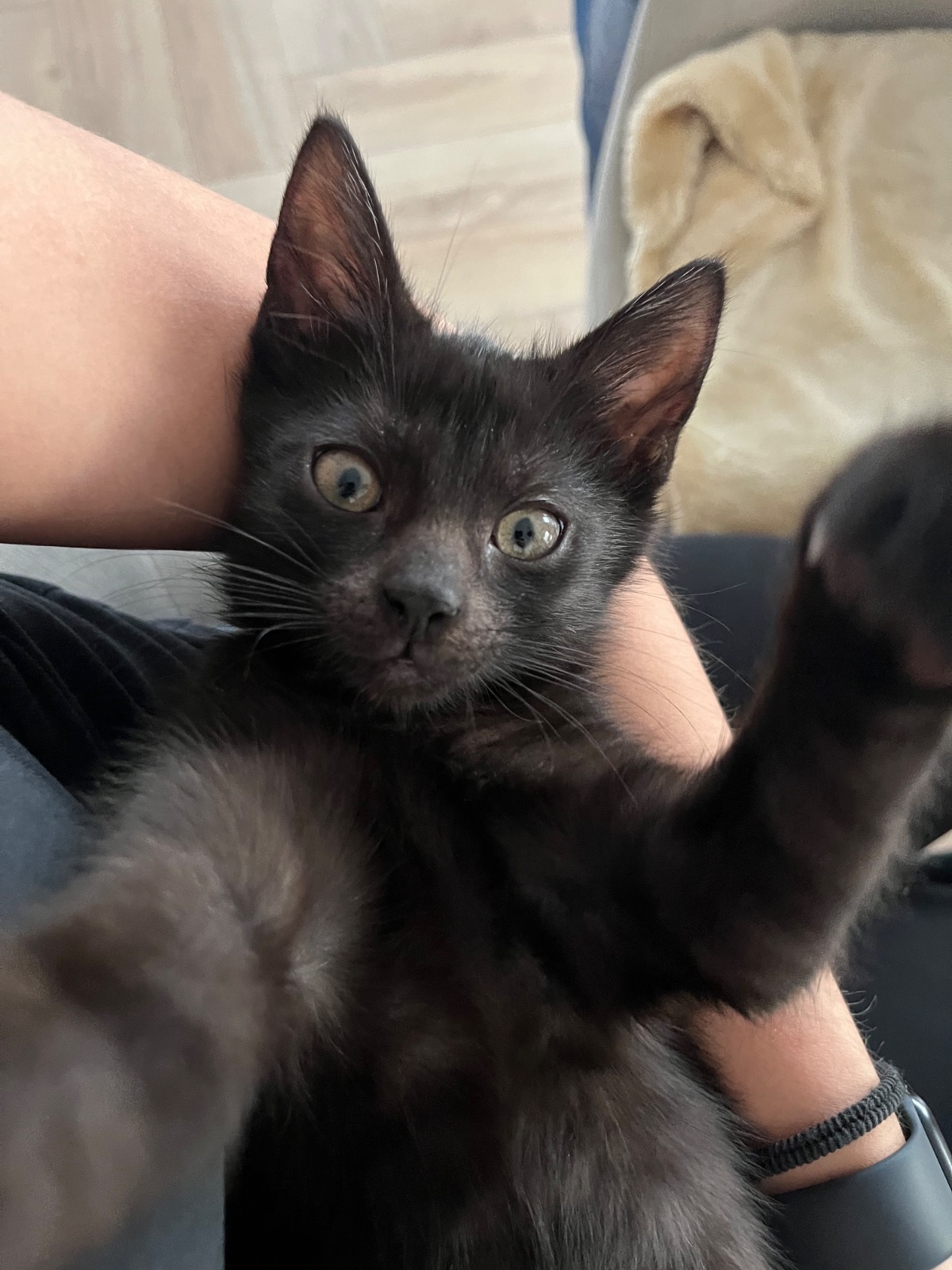 0b8796ed-5b3a-446b-a7d4-54369b73d035