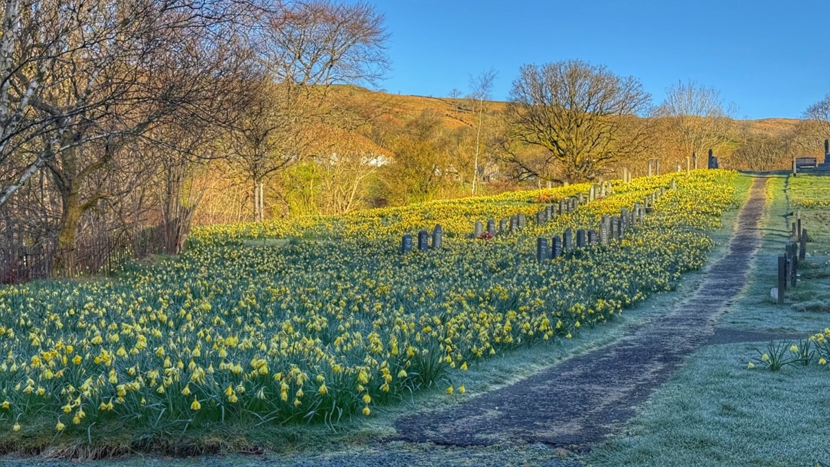 171f4130-b386-4394-bdca-b75c0e93f284