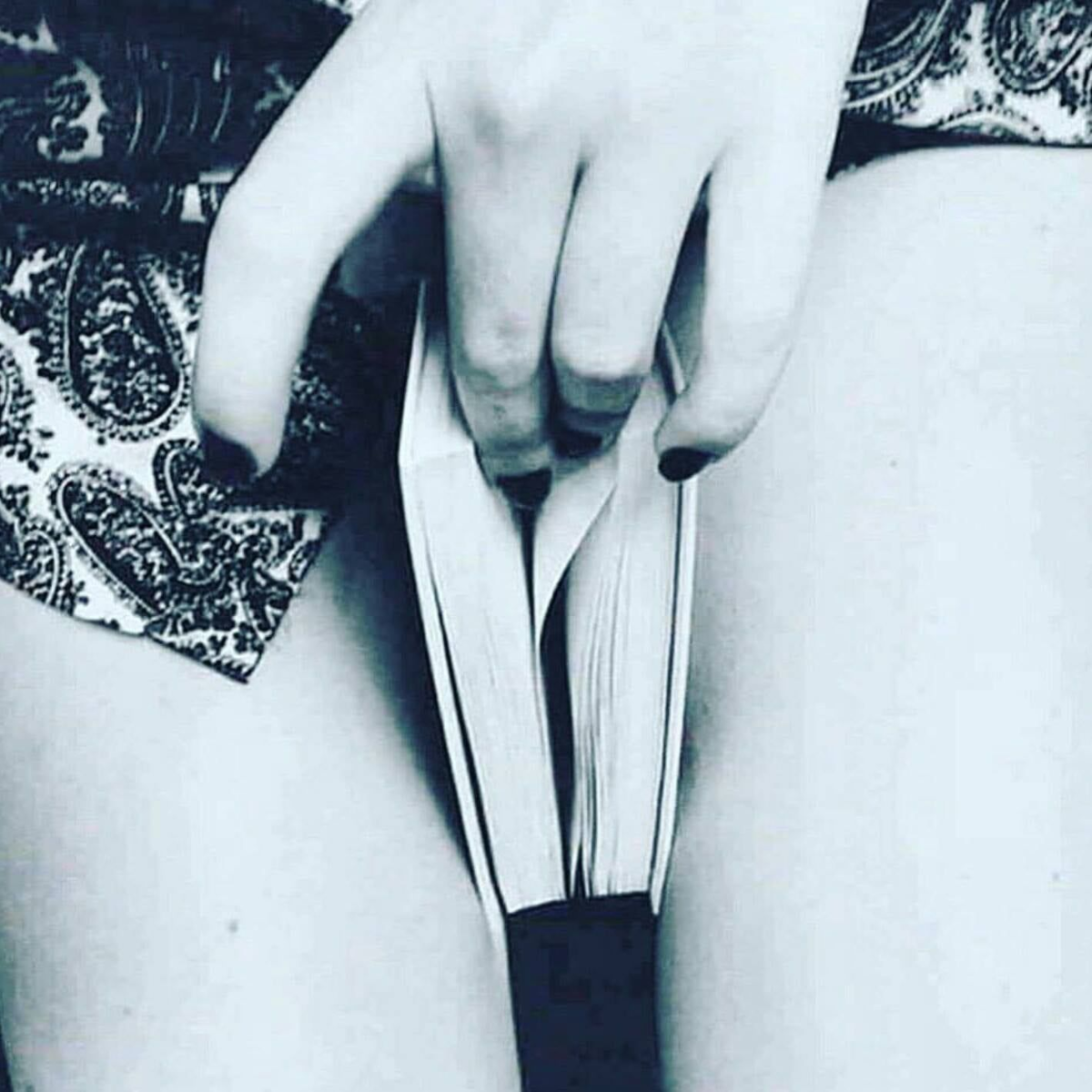 e95af22c-2f40-4305-88db-573c33bff601