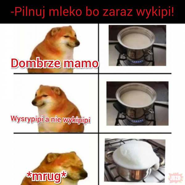 393a2a82-5eb4-4958-af3b-ab46af8ea662