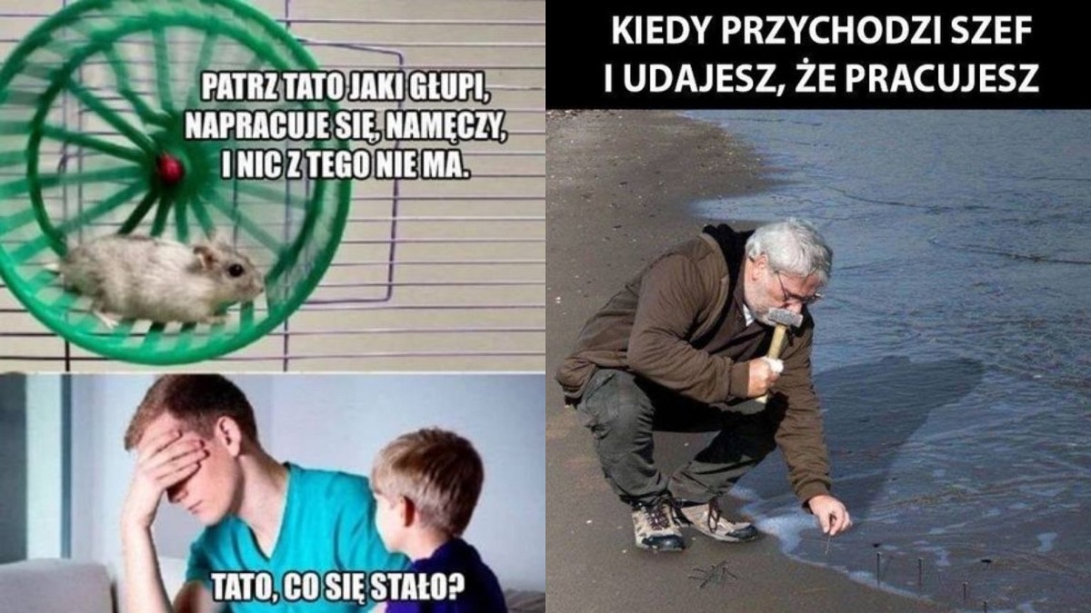 771851ee-1b9a-41d5-8d68-9c3239a7c940