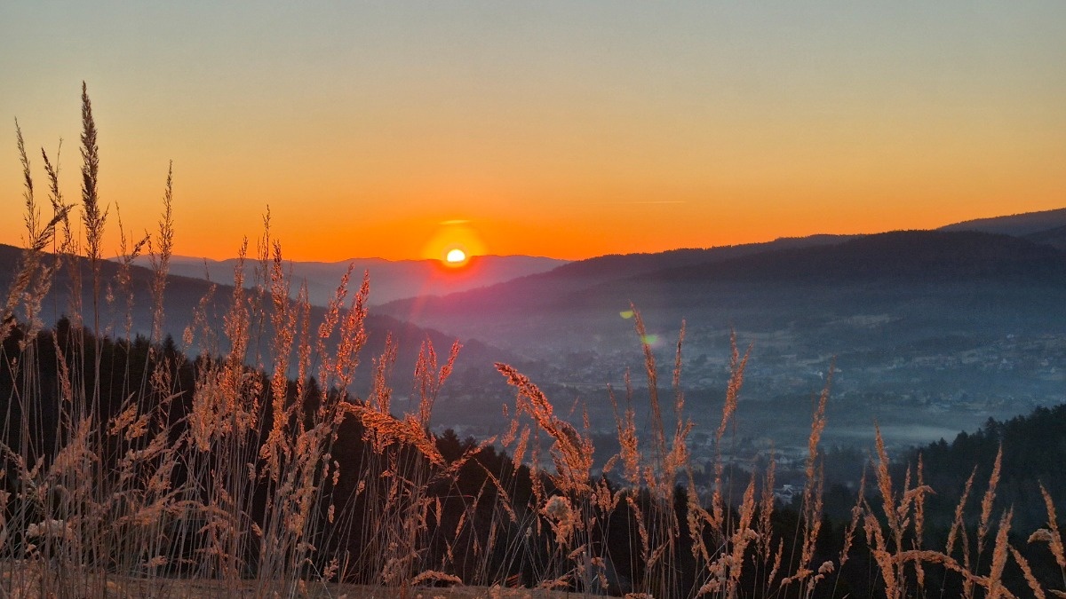 9a12b24b-7ca8-4e22-b588-59aaa5b97518