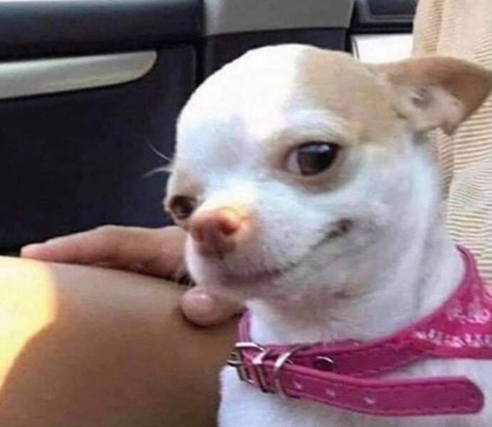 9843b0ea-ef5c-4f6f-81af-57b62cf3e284