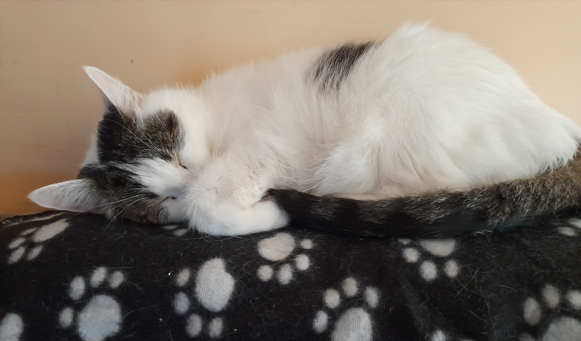 e9228125-eb16-45c3-b27a-ef4368b7e082