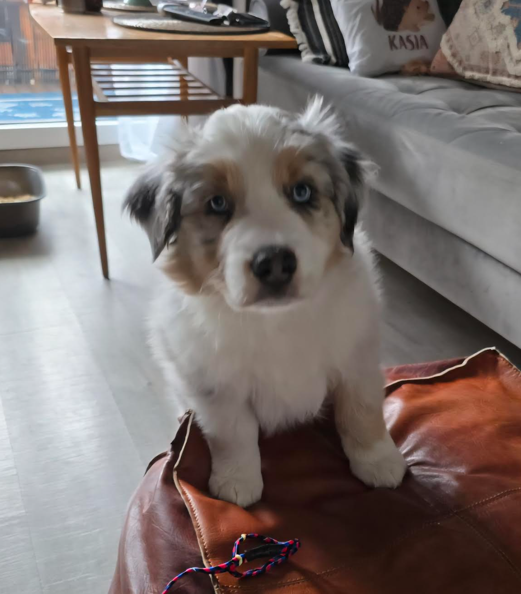 6a68829c-0aba-45b7-aa24-ace1b54791da