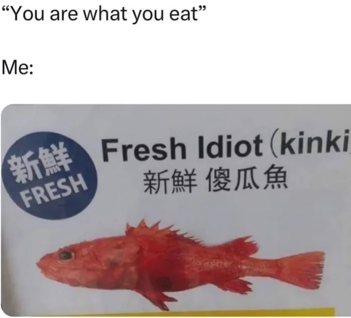 c0696b0d-0766-4670-8e14-de99391fab04