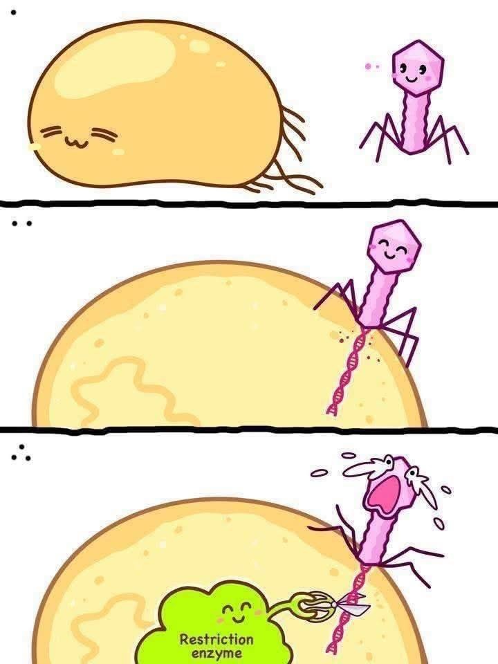 38afe2b4-7be2-4e33-8ae7-c8fe5cafb1f9