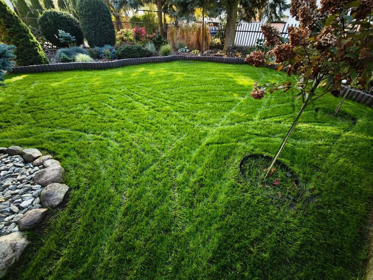 b317cd81-1e18-4827-9cca-a692988af6e6