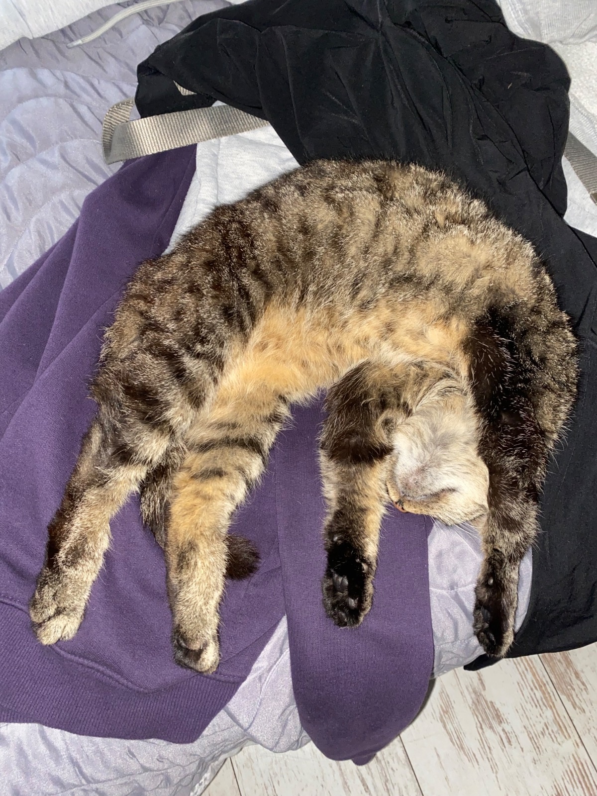 360c2b80-28e2-43ee-a9e8-17a425ab501f