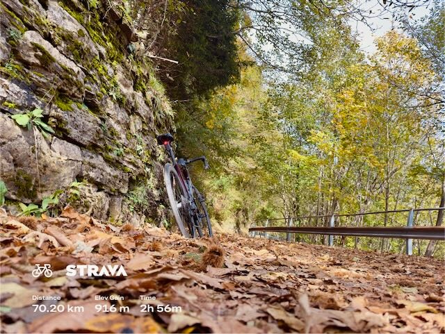 e1aabc03-3a05-45da-a5d2-7de369a86cfb