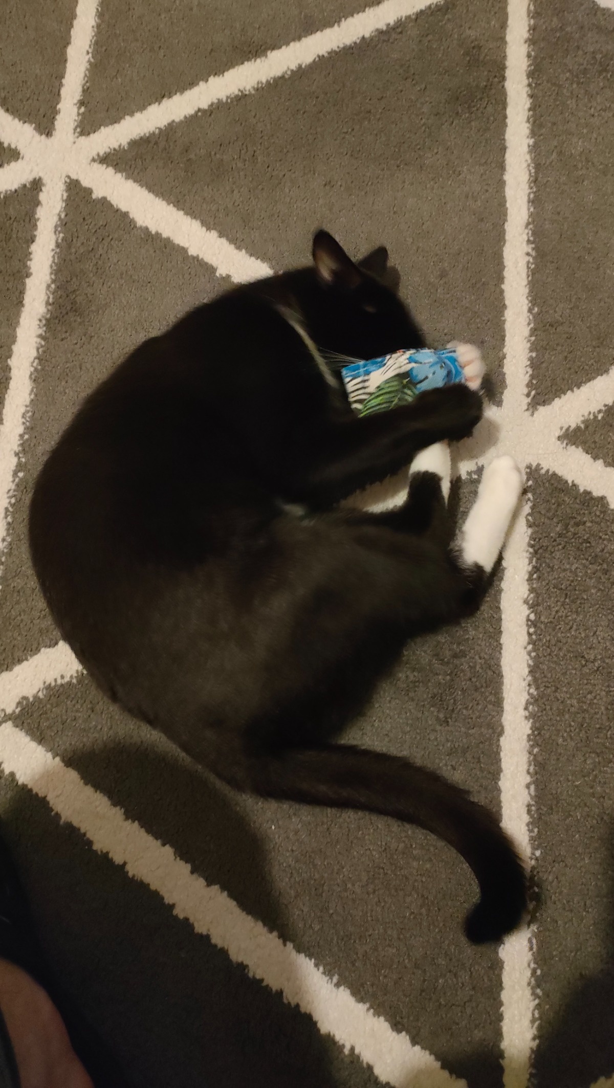 624bbe25-f281-4d79-81f3-a5afee43660b