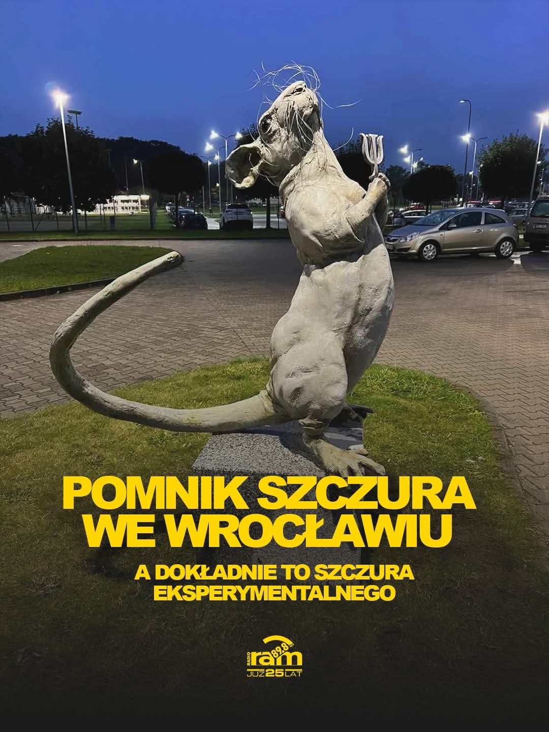 a9780305-ad7b-4219-8327-5e922422e0f4