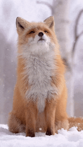 8440422d-f21c-43b5-82ea-d8ec87853240