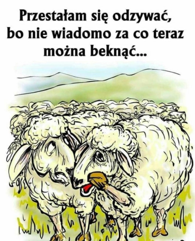 16842354-d974-4649-96b8-ecc5a334afca