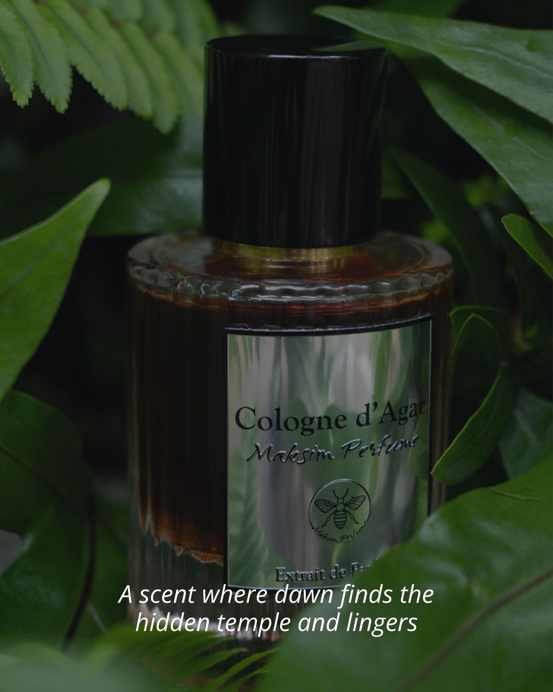 afce3d82-6f85-4117-8086-79a97941464e